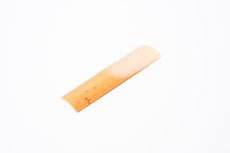 画像8: Sonority Japan Classic Model (8)