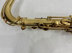 画像10: H.SELMER セルマーTENOR SAX SERIE3 GL Jubilee   w/e(彫刻付) シリーズ3 (10)