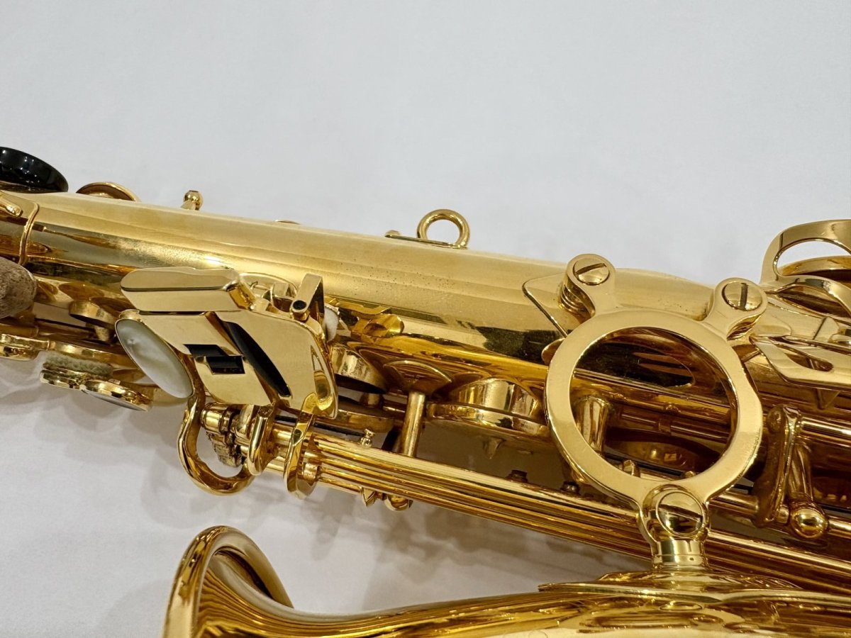 画像8: H.SELMER セルマーALTO SAX SA-80II GP  Jubilee w/e(彫刻付)  シリーズ2　 (8)