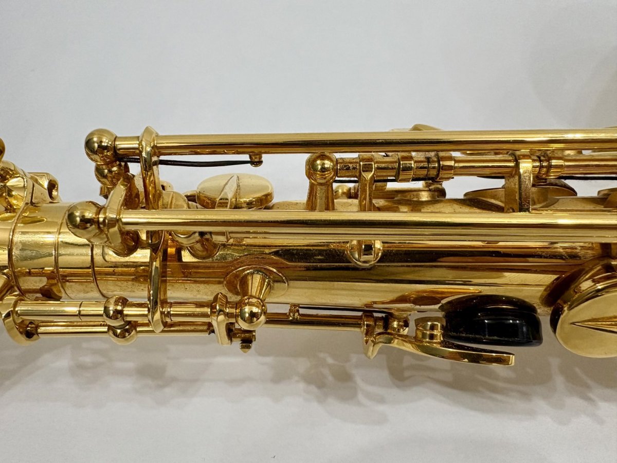画像15: H.SELMER セルマーALTO SAX SA-80II GP  Jubilee w/e(彫刻付)  シリーズ2　 (15)