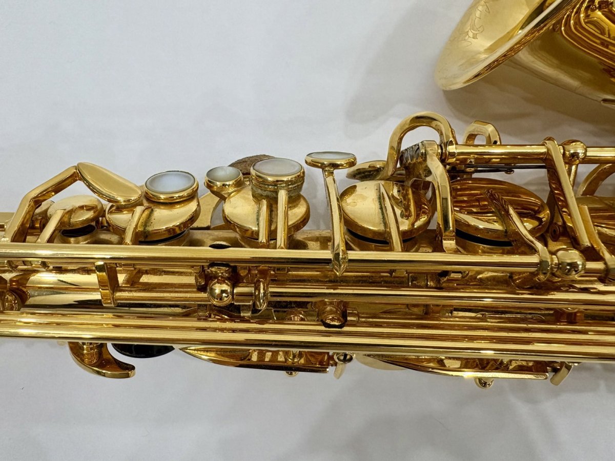 画像16: H.SELMER セルマーALTO SAX SA-80II GP  Jubilee w/e(彫刻付)  シリーズ2　 (16)