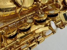 画像18: H.SELMER セルマーALTO SAX SA-80II GP  Jubilee w/e(彫刻付)  シリーズ2　 (18)